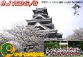 QSL8J100S_62